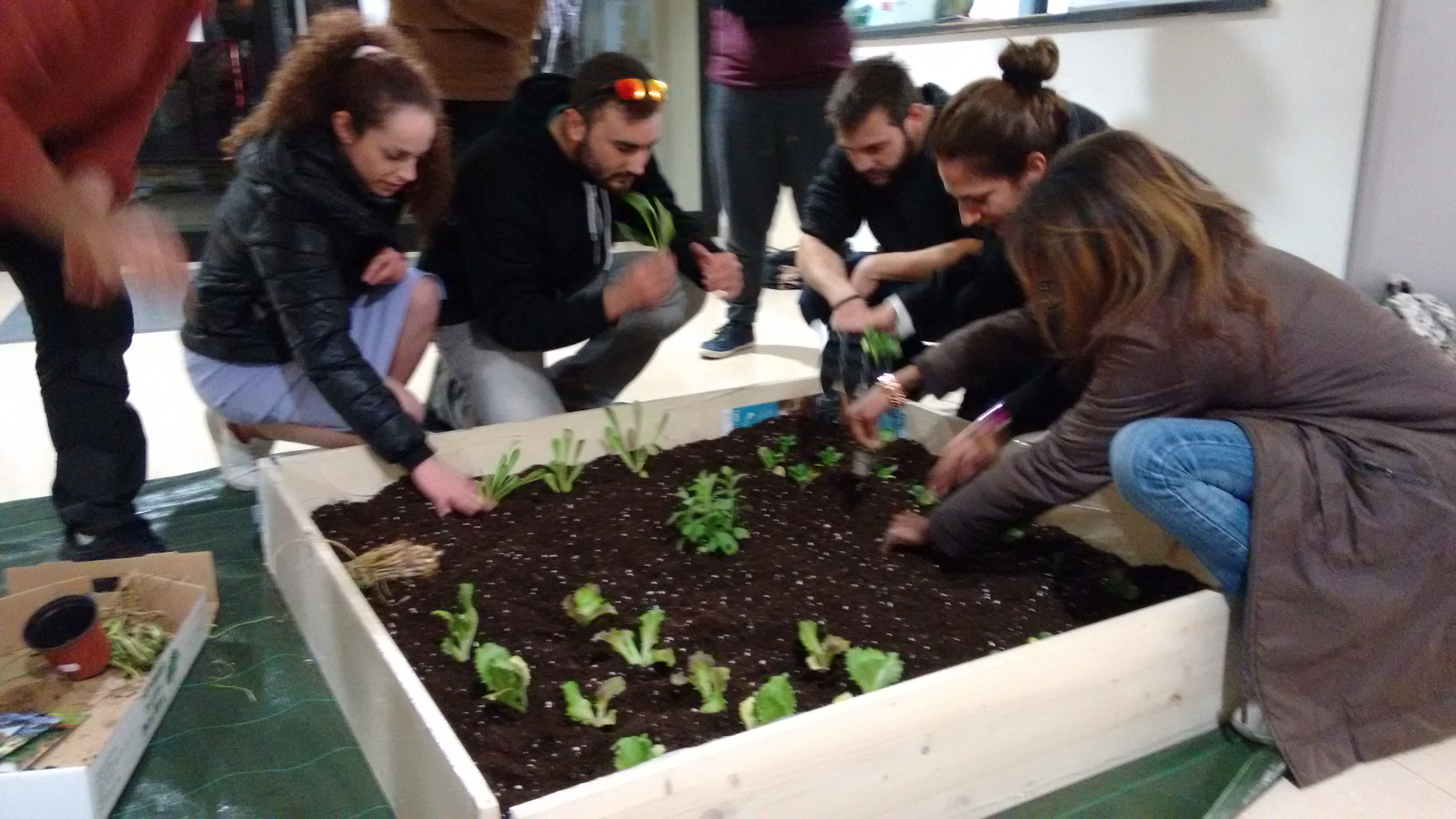 IMG_20160303_202035621