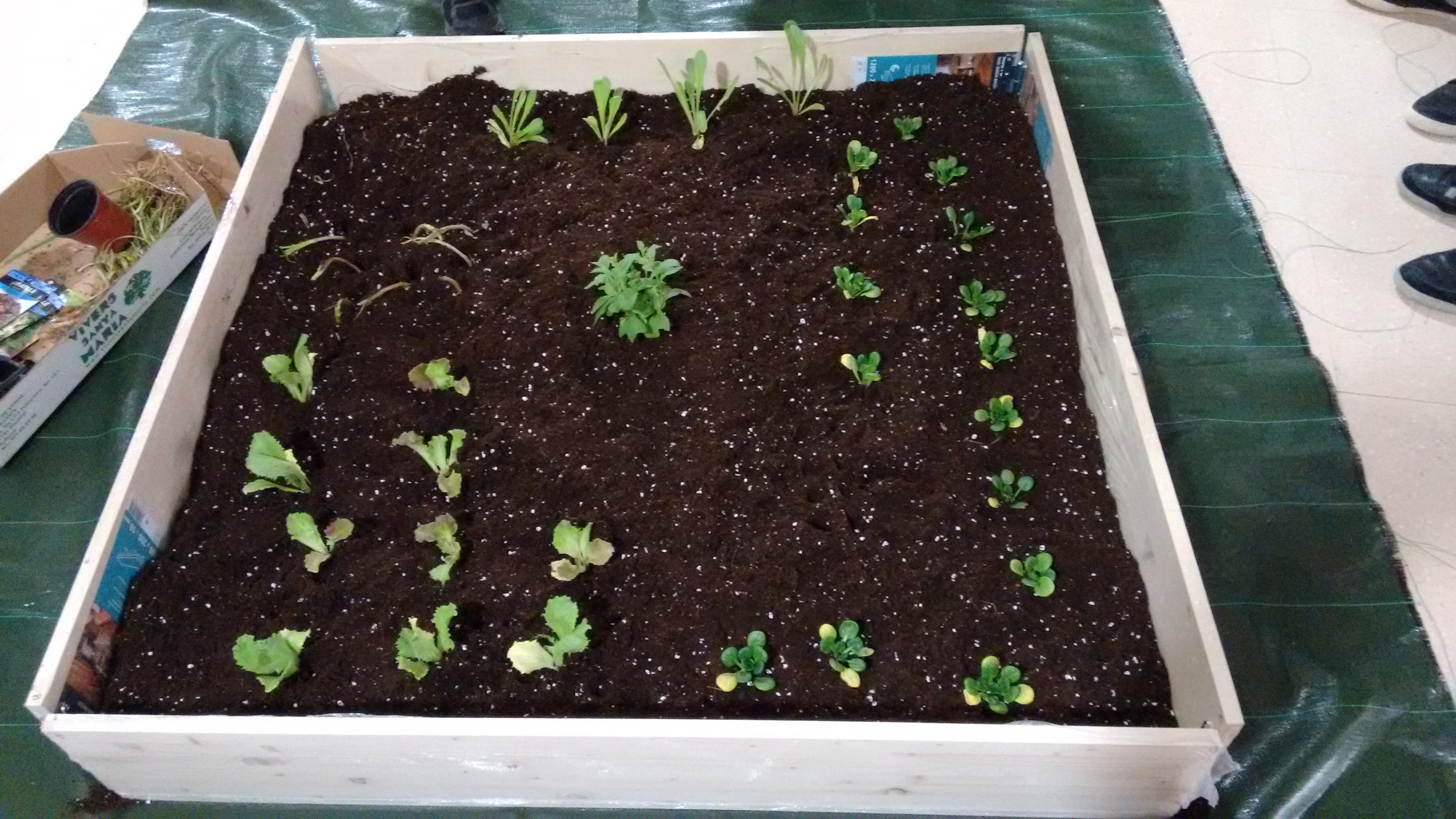 IMG_20160303_202223494